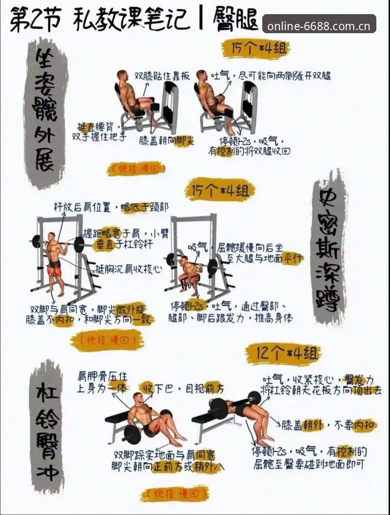 体育安装全流程详解：从入门到精通的新手指南